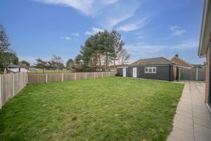 THE CONIFERS- click for photo gallery